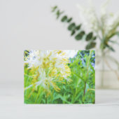 Carte Postale Postkarte - Gelbe Blume (Debout devant)