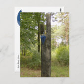 Carte Postale Postkarte - hoch oben (Devant / Derrière)