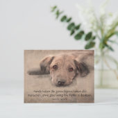 Carte Postale Postkarte Hundewelpe mit Zitat (Debout devant)