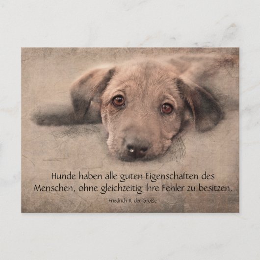 Carte Postale Postkarte Hundewelpe mit Zitat (Devant)