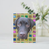 Carte Postale Postkarte Labrador Jimmy (Debout devant)