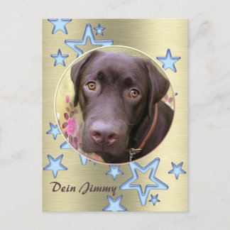 Carte Postale Postkarte Labrador Jimmy