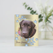 Carte Postale Postkarte Labrador Jimmy (Debout devant)