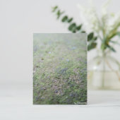 Carte Postale Postkarte - Moß (Debout devant)