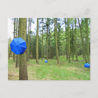 Carte Postale Postkarte - neulich im Wald