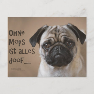 Carte Postale Postkarte "Ohne Mops ist alles doof"