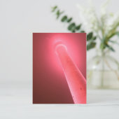 Carte Postale Postkarte - Pinkshot (Debout devant)