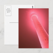 Carte Postale Postkarte - Pinkshot (Devant / Derrière)