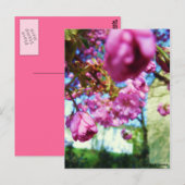 Carte Postale Postkarte - Rosa Blumen (Devant / Derrière)