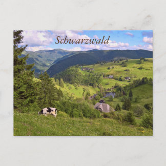 Carte Postale Postkarte : Wiesen und eine Kuh mit Panoramaansich