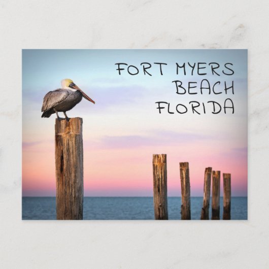 Carte Postale Posts & a Pelican | Fort Myers Beach, Floride (Devant)