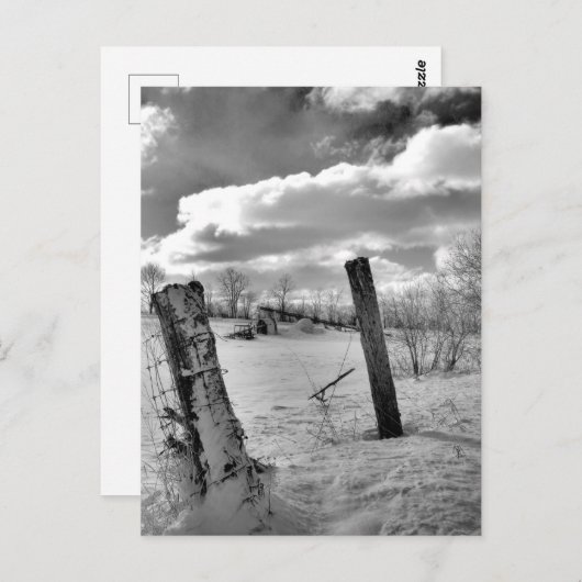 Carte Postale Posts in the Snow (Devant / Derrière)