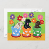 Carte Postale Pot à fleurs Labrador Chiots (Devant / Derrière)