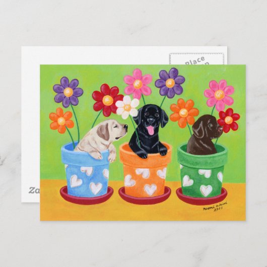 Carte Postale Pot à fleurs Labrador Chiots (Devant / Derrière)