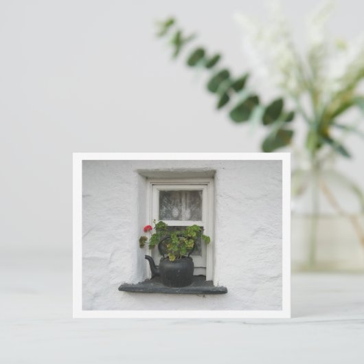 Carte Postale Pot de fenêtre (Debout devant)