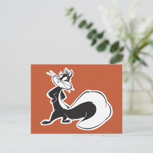 Carte Postale Pot de pénélope (Debout devant)