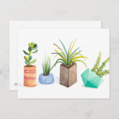 Carte Postale Pot de succulents (Devant / Derrière)