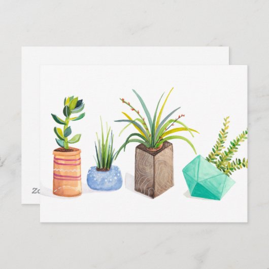 Carte Postale Pot de succulents (Devant / Derrière)