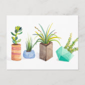 Carte Postale Pot de succulents (Devant)