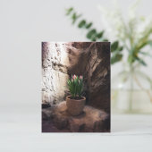 Carte Postale Pot de tulipes dans une Grotte (Debout devant)