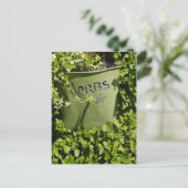 Carte Postale Pot d'herbe et lierre (Debout devant)