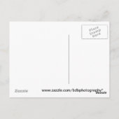 Carte Postale Pot d'or (Dos)