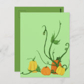 Carte Postale Potager de citrouilles (Devant / Derrière)