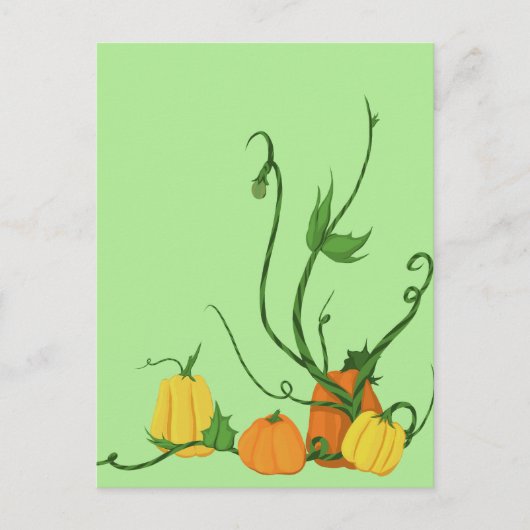 Carte Postale Potager de citrouilles (Devant)