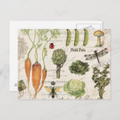 Carte Postale potager vintage (Devant / Derrière)
