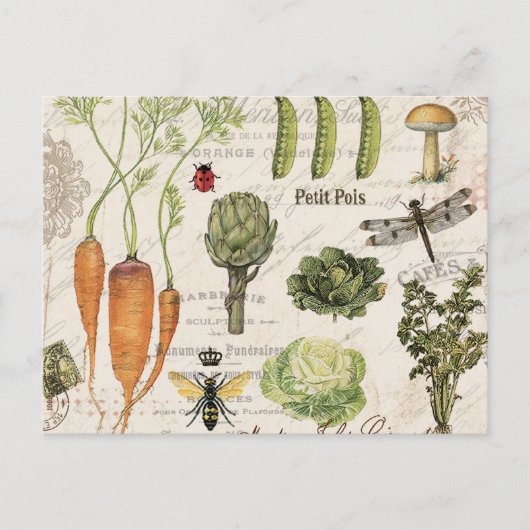 Carte Postale potager vintage (Devant)