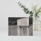 Carte Postale Poteau de clôture et fil barbelé (Debout devant)