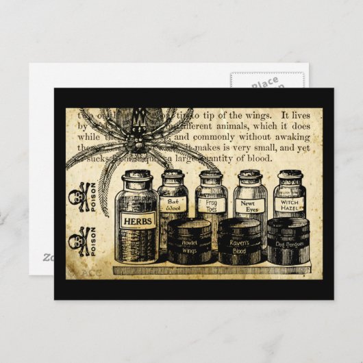Carte Postale Potions Araignée Crâne Croix Os Poison (Devant / Derrière)