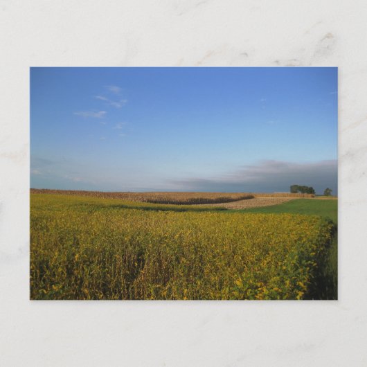 Carte Postale Potomac 1 (Devant)