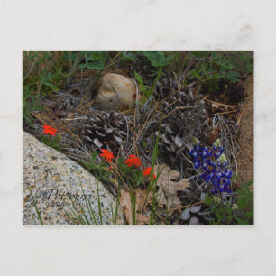 Carte Postale Potpourri