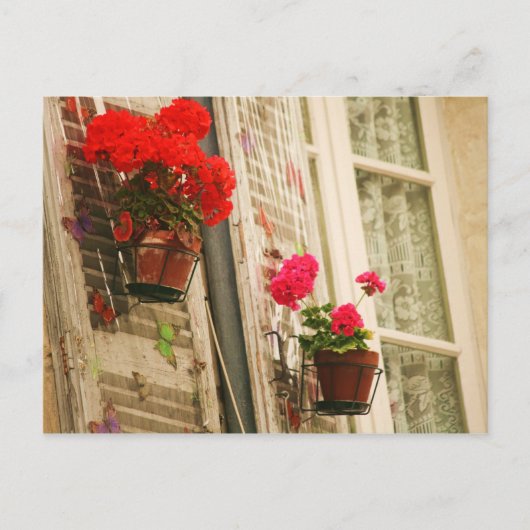 Carte Postale pots à fleurs (Devant)