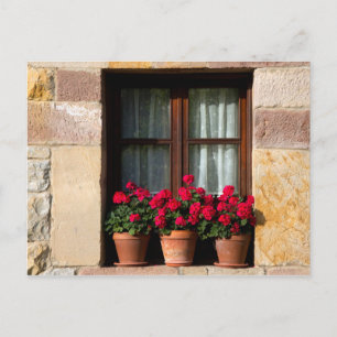 Carte Postale Pots de fleurs de fenêtre dans un village