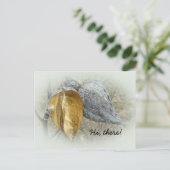 Carte Postale Pots de Milkweed (Debout devant)