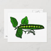 Carte Postale Pots de pois verts du jardin (Devant / Derrière)