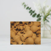 Carte Postale Pottery (Debout devant)