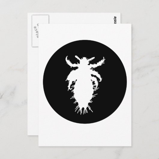 Carte Postale pou (Devant / Derrière)