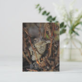 Carte Postale Pouce vers le bas (Debout devant)