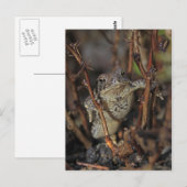 Carte Postale Pouce vers le bas (Devant / Derrière)