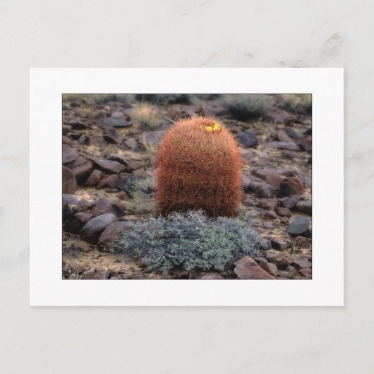 Carte Postale "Pouces " (Devant)