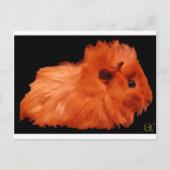 Carte Postale Poudre (Devant)