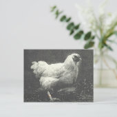 CARTE POSTALE POULE (Debout devant)