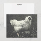 CARTE POSTALE POULE (Devant / Derrière)