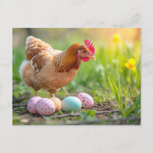 Carte Postale Poule à côté d'un nid de Pâques avec des œufs colo