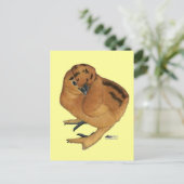 Carte Postale Poule soyeuse rouge (Debout devant)