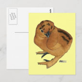 Carte Postale Poule soyeuse rouge (Devant / Derrière)
