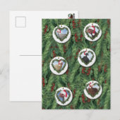 Carte Postale Poules de Noël (Devant / Derrière)